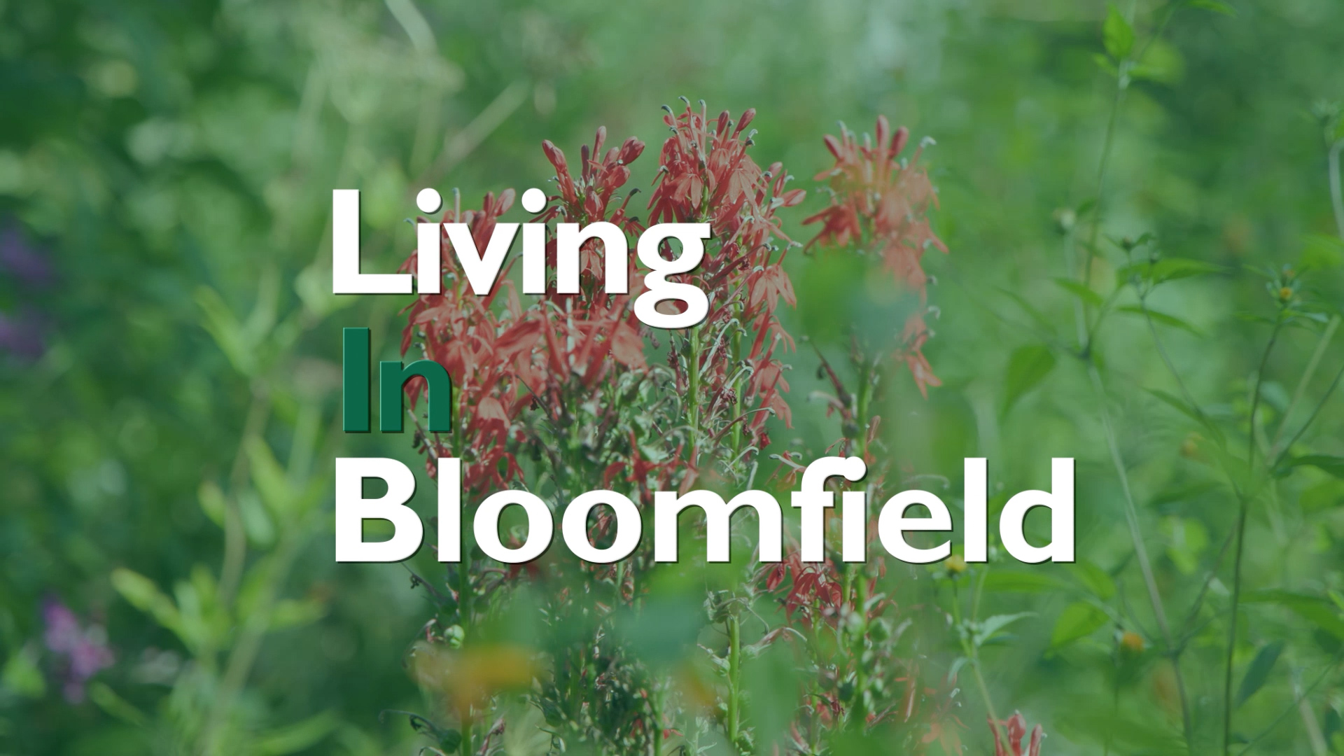 Living in Bloomfield: Fall 2025
